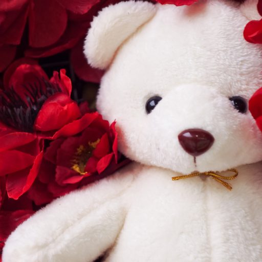 Toys Product Photography